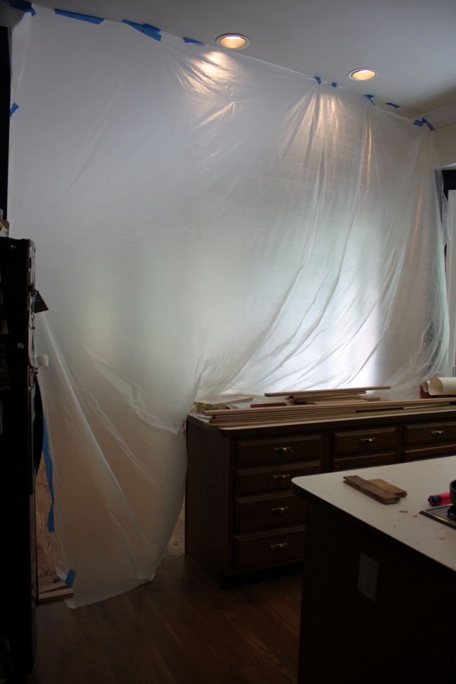 The lightweight plastic curtain dropcloth the installer used to protect our kitchen.