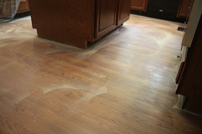 "Refreshing" the kitchen flooring with a fine grain sanding and a new topcoat of polyurethane.